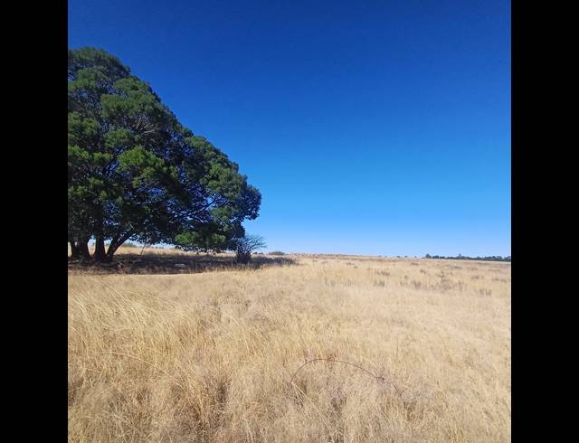8.50HA VACANT LAND FOR SALE IN WITKOP